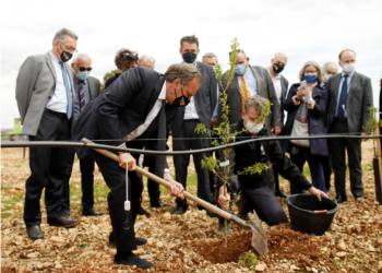 Sérignan-du-Comtat, Renaud Muselier, président de la Région Sud soutient la filière amande