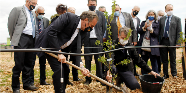 Sérignan-du-Comtat, Renaud Muselier, président de la Région Sud soutient la filière amande