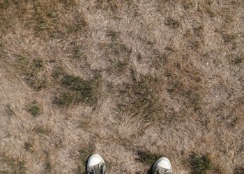 Sécheresse : le préfet de Vaucluse classe le département en vigilance