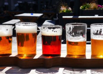 Lancement du premier concours des bières d’Avignon