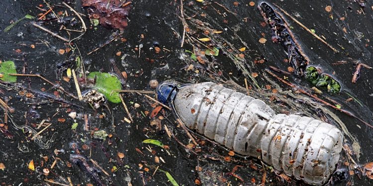 Nettoyer les rivières du Luberon