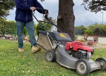 (Vidéo) La ville de Cavaillon cherche des saisonniers
