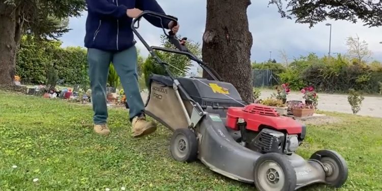 (Vidéo) La ville de Cavaillon cherche des saisonniers