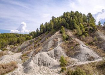 Découvrez les prochaines visites guidées du Parc du Luberon