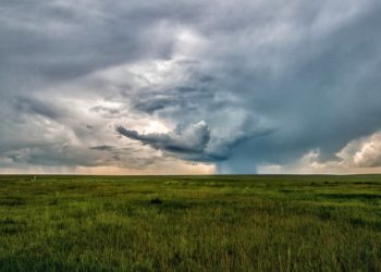 Les pluies récentes ont rechargé les sols en Vaucluse