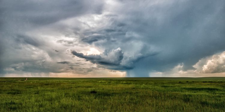 Les pluies récentes ont rechargé les sols en Vaucluse
