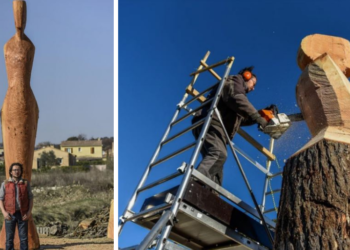 Un spécimen mi-arbre mi-homme de 7m, direction Malaucène