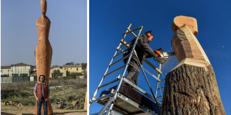 Un spécimen mi-arbre mi-homme de 7m, direction Malaucène