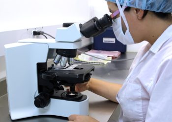 L’Inpi et la Région Sud ensemble pour l’innovation