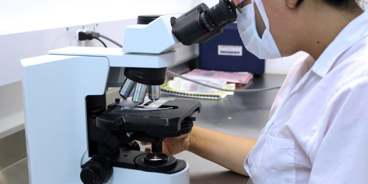 L’Inpi et la Région Sud ensemble pour l’innovation