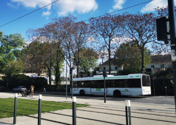 Les étudiants d’Avignon réclament la gratuité des transports