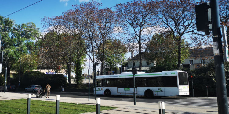Les étudiants d’Avignon réclament la gratuité des transports
