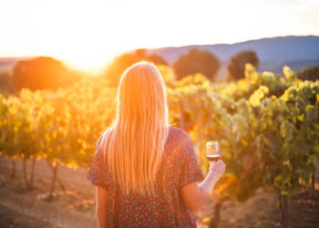 (Vidéo) Sunsets vignerons Luberon 2021 : réservez vos places
