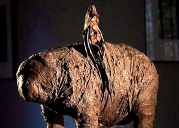 Isle-sur-la-Sorgue, ‘Retour de voyage’ inaugure l’exposition ‘Un arbre comme une respiration’