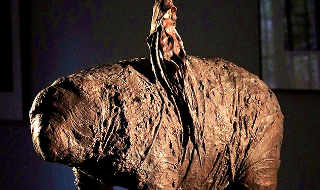 Isle-sur-la-Sorgue, ‘Retour de voyage’ inaugure l’exposition ‘Un arbre comme une respiration’