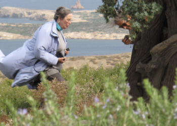 (Vidéo) Musée Calvet à Avignon, Volubilis propose une conférence ‘Rêves de jardin’ par Louisa Jones