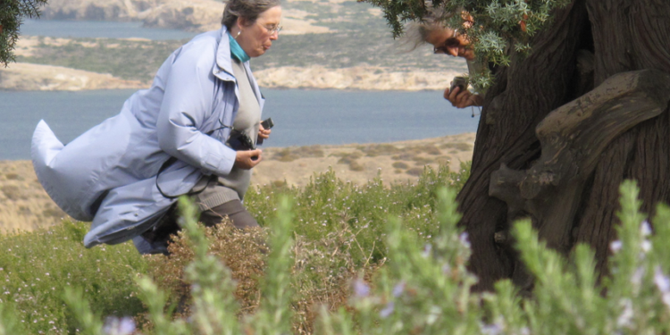 (Vidéo) Musée Calvet à Avignon, Volubilis propose une conférence ‘Rêves de jardin’ par Louisa Jones