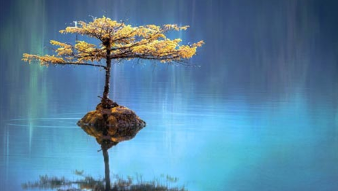 Educateurs, soignants, le Codes 84 propose une formation à la méditation de pleine conscience