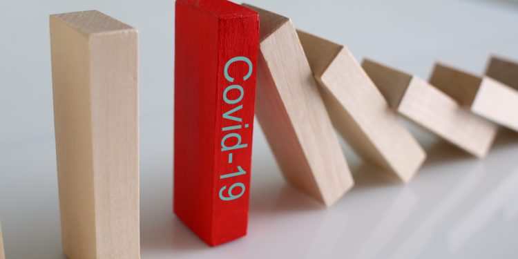 Le nombre de cas de Covid-19 divisé par 10 en Vaucluse