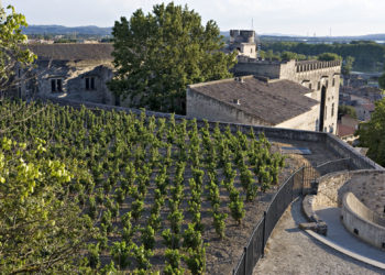 Estivales du Rhône : déguster les vins sous le soleil couchant au rocher des Doms
