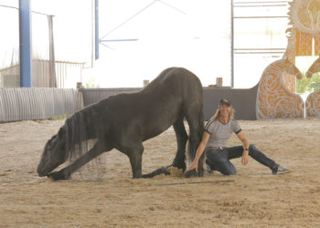 Spectacle équestre Sueño, intime retour aux sources