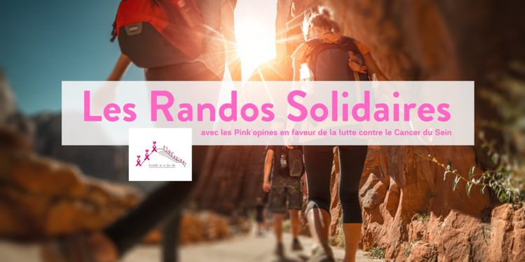 Une rando solidaire dans les lavandes de Sault