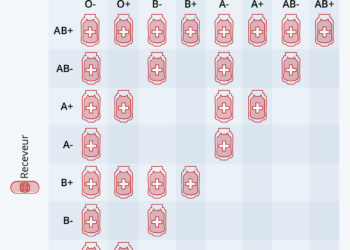 Quels groupes sanguins sont compatibles ?