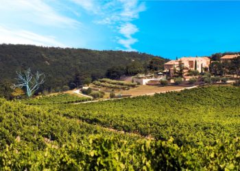 Le Chêne Bleu concocte un ‘apéro bleu’ au Crestet