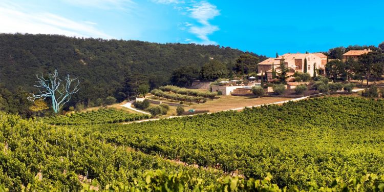 Le Chêne Bleu concocte un ‘apéro bleu’ au Crestet