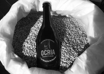 (Vidéo) La brasserie artisanale ‘Brassins de Rustrel’, savoir-faire local