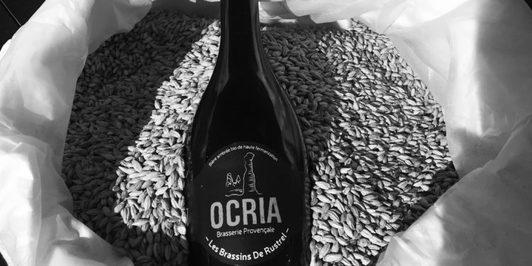 (Vidéo) La brasserie artisanale ‘Brassins de Rustrel’, savoir-faire local