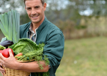 Grand Avignon, un programme alimentaire territorial pour maintenir une agriculture forte et durable