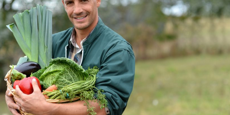 Grand Avignon, un programme alimentaire territorial pour maintenir une agriculture forte et durable