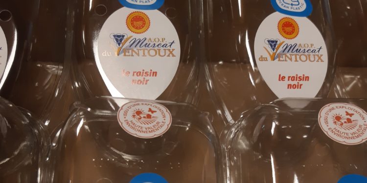 Raisin : le plastique ce n’est vraiment plus fantastique