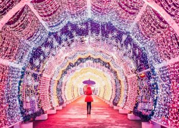 Blachere, l’entreprise familiale aptésienne illumine le monde