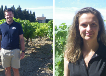 Côtes du Rhône : une nouvelle campagne de com’ avec de jeunes viticulteurs passionnés