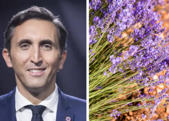 Mise en péril des producteurs de lavande, le député Julien Aubert se mobilise