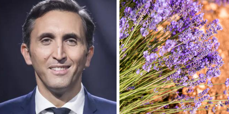 Mise en péril des producteurs de lavande, le député Julien Aubert se mobilise
