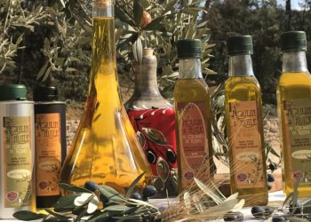 L’or vert du moulin à huile du Colorado Provençal