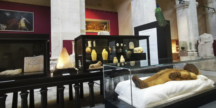 La momie d’Avignon vous attend au musée Lapidaire