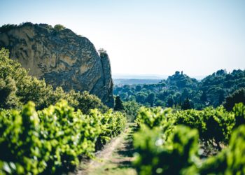 Beaumes-de-Venise : le terroir aux deux visages