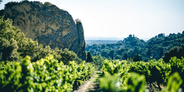 Beaumes-de-Venise : le terroir aux deux visages