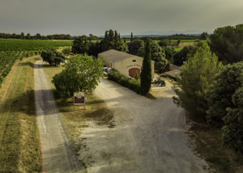 Le Domaine des Bouzons, une saga familiale de plus de 400 ans pour des vins d’exception