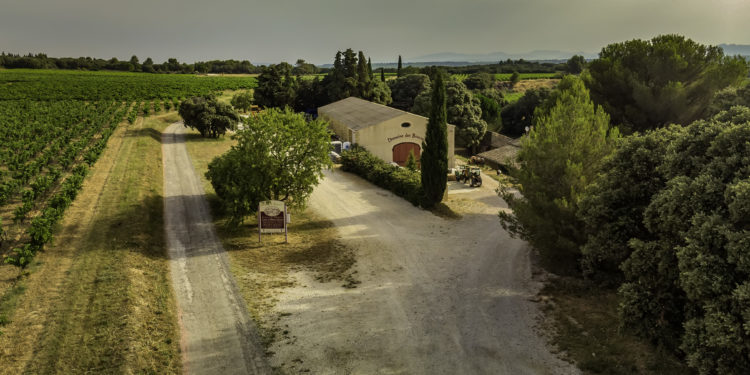 Le Domaine des Bouzons, une saga familiale de plus de 400 ans pour des vins d’exception