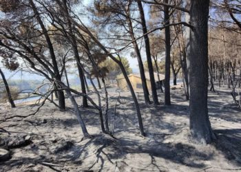 Beaumes-de-Venise : le feu est fixé, « bravo à tous »