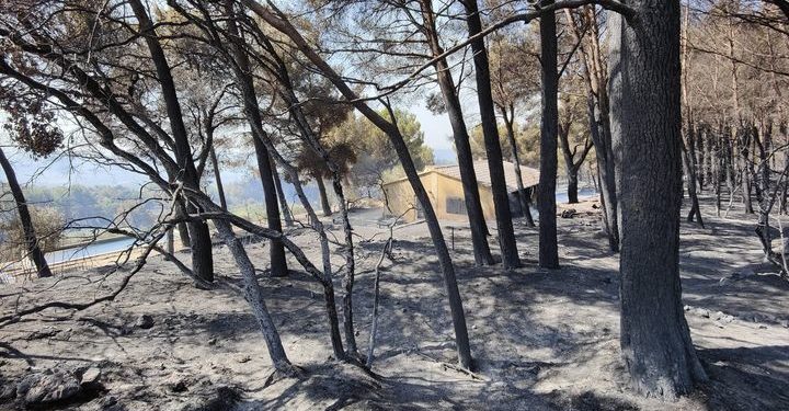 Beaumes-de-Venise : le feu est fixé, « bravo à tous »