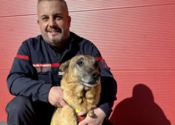 Vaucluse : deux maîtres-chiens récompensés pour leur mobilisation dans les Alpes-Maritimes