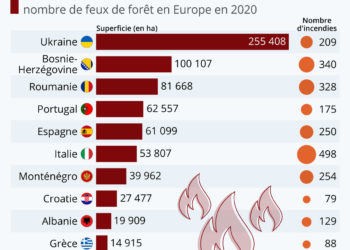 Les forêts européennes partent en fumée