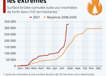 Incendies de forêt : 2021, l’été de tous les extrêmes