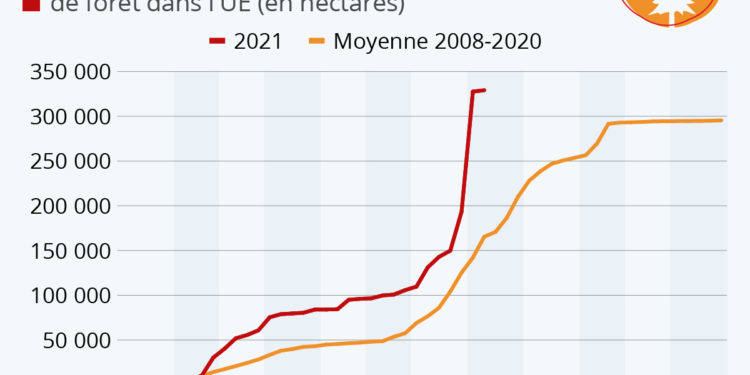 Incendies de forêt : 2021, l’été de tous les extrêmes